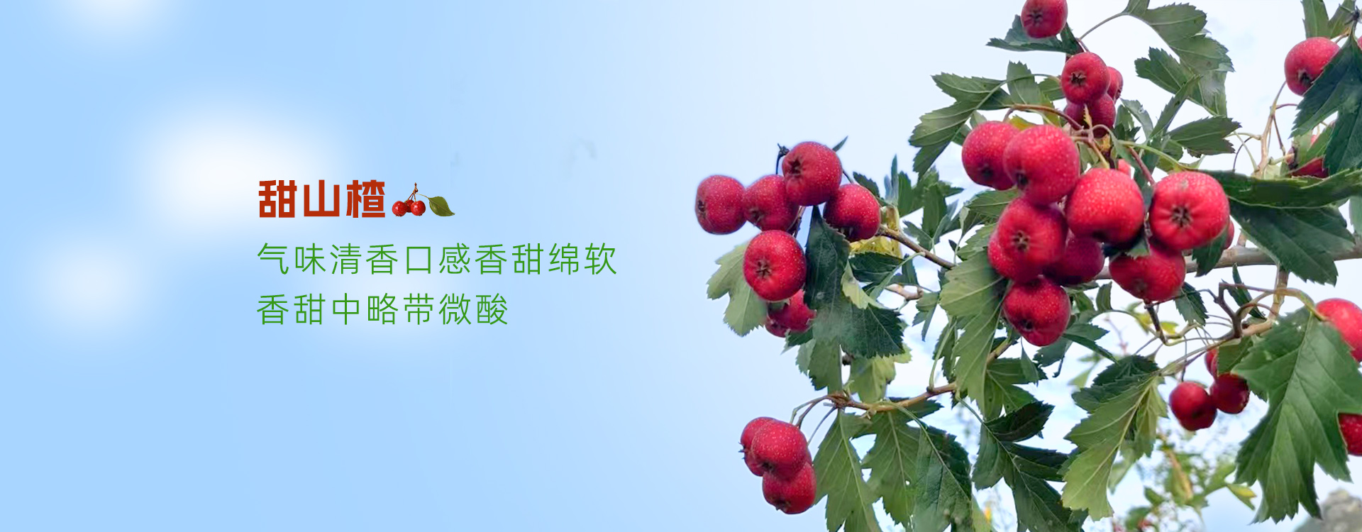 泰安市泰山區三美果業有限公司
