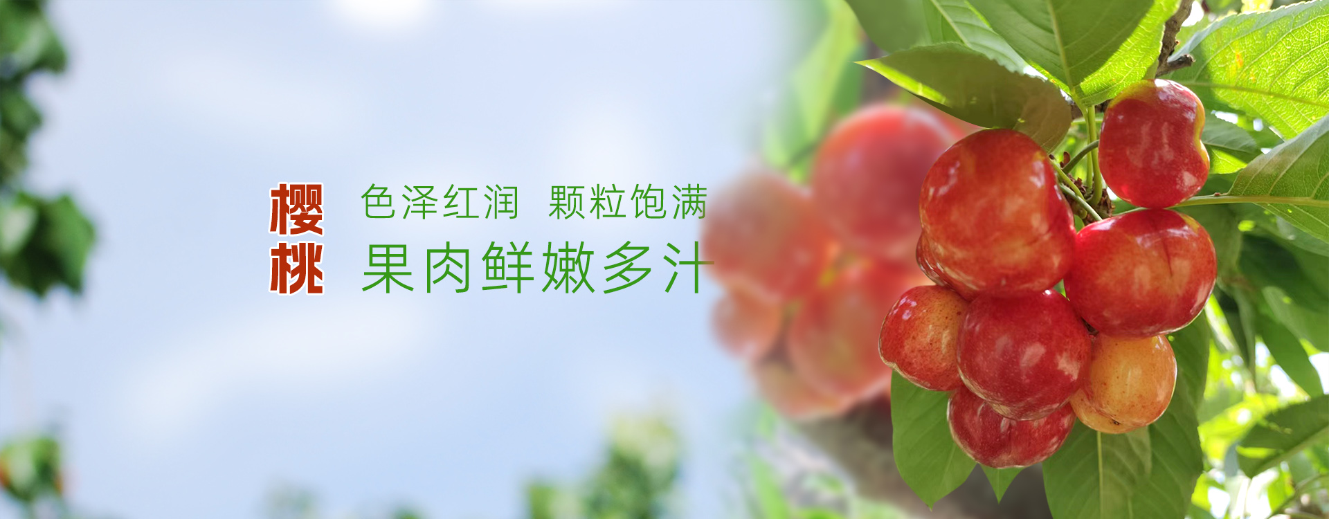泰安市泰山區三美果業有限公司